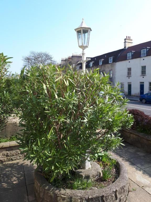Lamp Post Villa Guest House Bath Esterno foto